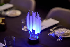 Custom LED Centerpieces | Acrylic LED Table Centerpieces for Wedding & Events